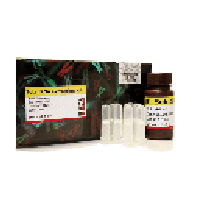 (پارس طوس)RNA Fix-A101291- 50 ml