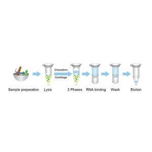 Plant RNA Extraction kit- A101251- 50 Preps(پارس توس)