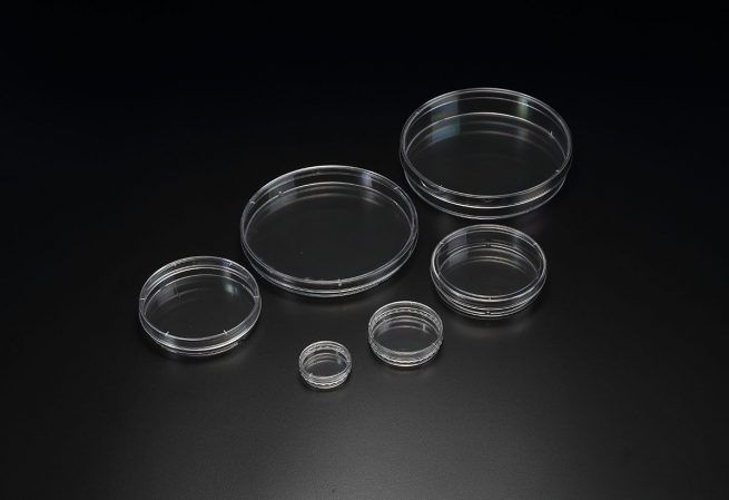 (SPL)Cell Culture Dish-60mm,Treated,Sterile,Non – pyrogenic,Non – cytotoxic,RDF