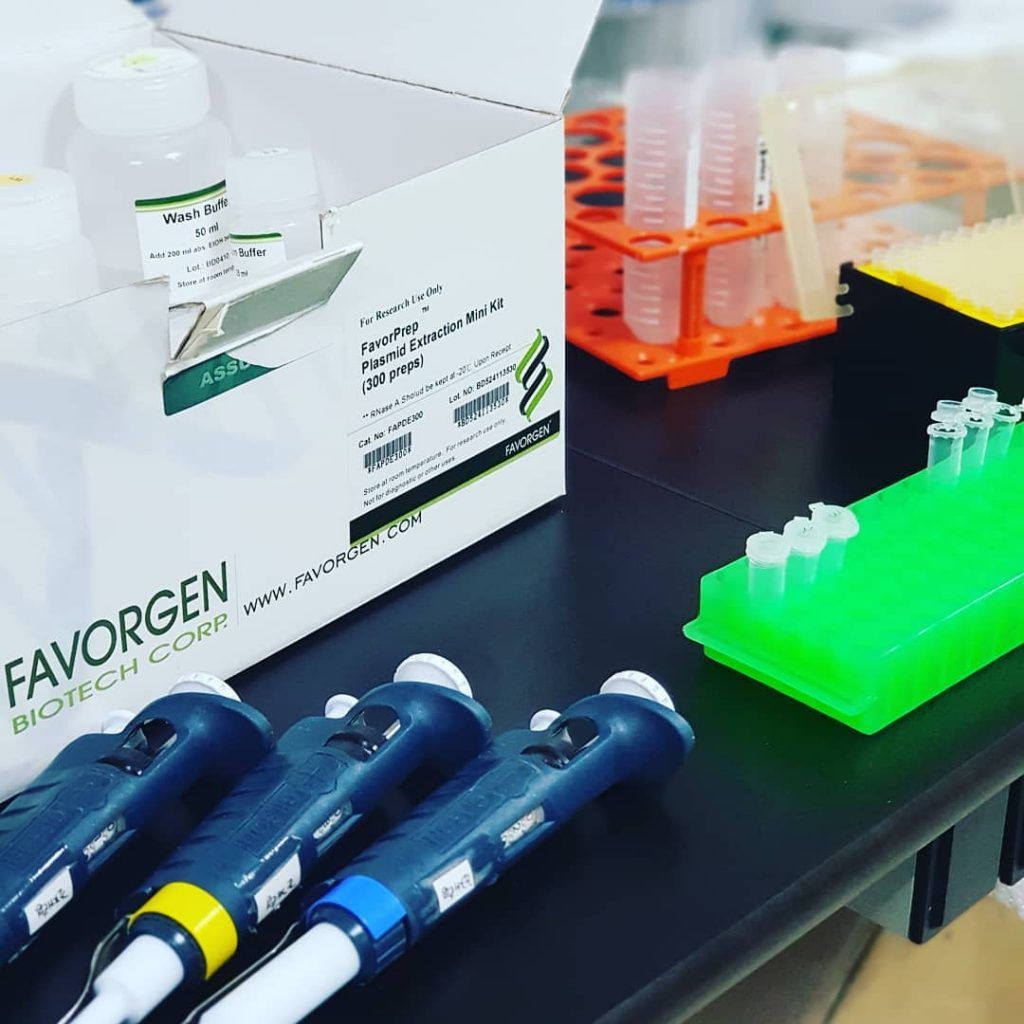 (Favorgen)plasmid DNA extraction mini kit  FAPDE050 50 preps