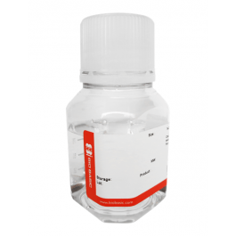 Red Blood Cell (RBC) Lysis Buffer, 2x Strength Solution(بایوبیسیک)
