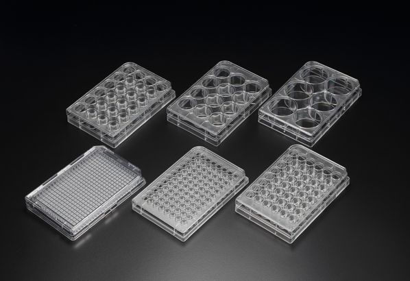 (SPL)Cell Culture Plate 96well, FLAT Bottom,Treated,Sterile,RNase/DNase free