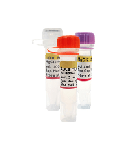 (پارس طوس)Apta Hot-Start Taq DNA Polymerase C101012 500 U