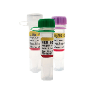 (پارس طوس) Klentaq DNA polymerase (Suitable for mutation specific PCR) C101122 500 U