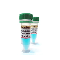 (پارس طوس) Spidi™ Pfu DNA polymerase (Suitable for long PCR, low error)C101101 250 U