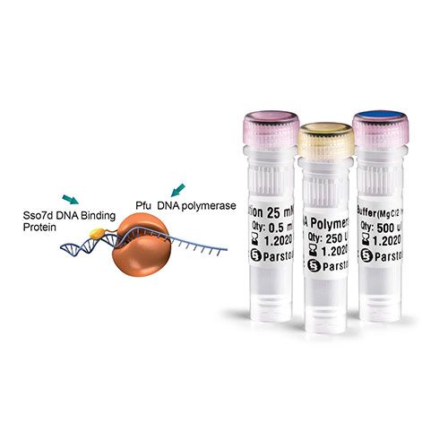 (پارس طوس)Spidi™ Pfu DNA polymerase-CL101101-250U