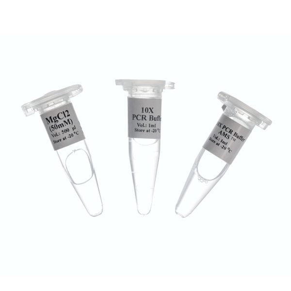 (سیناکلون)10X PCR Buffer–1ml -MM2181