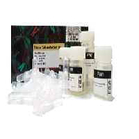 Tissue DNA Extraction kit- A101211-50 Preps(پارس توس)