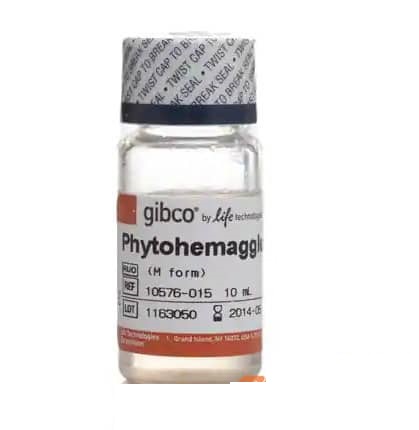 محیط کشت PHA (فیتوهماگلوتینین) گیبکو – Gibco PHA ( Phytohemagglutinin)