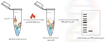 آنالیز شناسایی ارگانیسم های تغییر ژنتیکی یافته و محصولات حاصل از آنها با روش PCR